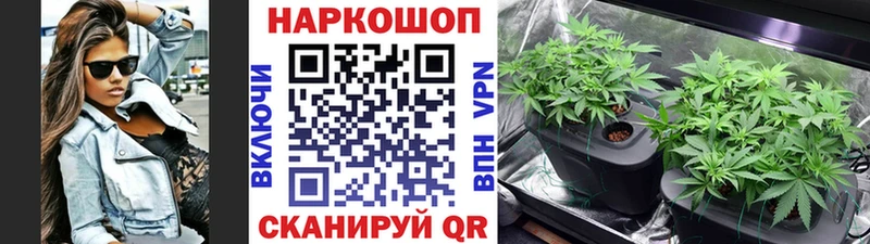 Магазин наркотиков Бердск A-PVP  Марихуана  Меф мяу мяу  АМФЕТАМИН  Кетамин  ГАШИШ 