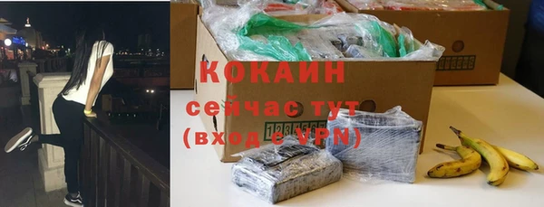 гашик Корсаков