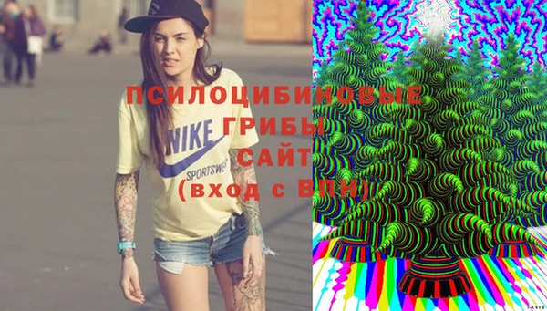 мяу мяу кристалл Костерёво