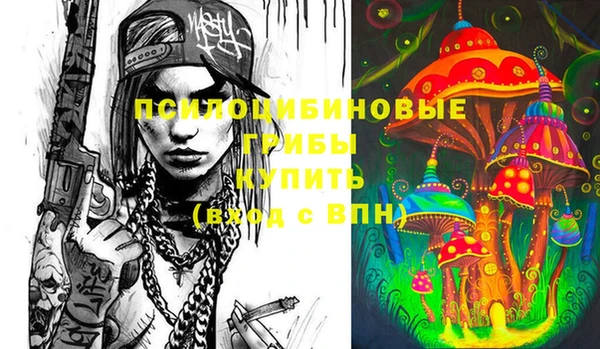 марки lsd Краснослободск