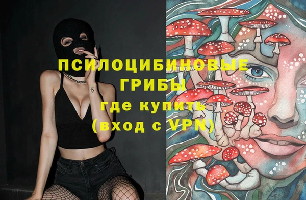 гашик Корсаков