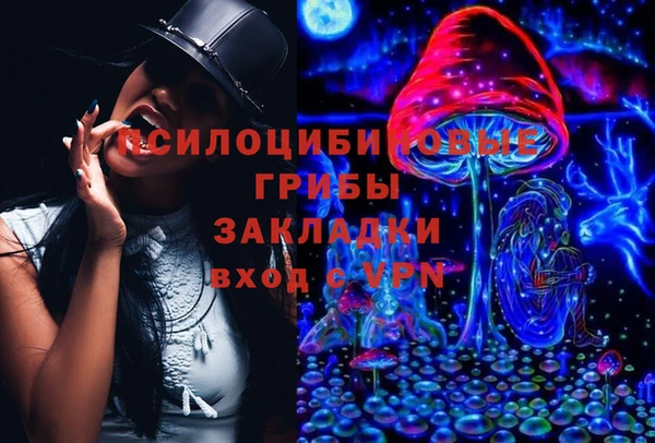 гашик Корсаков