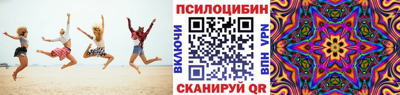 kraken зеркало  Бердск  Псилоцибиновые грибы Cubensis 